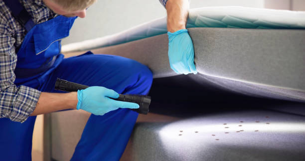 Best Pest Prevention Services  in Excelsior, MN