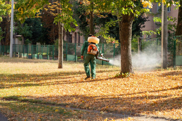 Best Affordable Pest Control Services  in Excelsior, MN